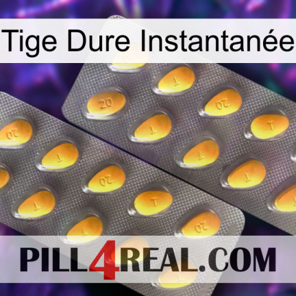 Tige Dure Instantanée cialis2